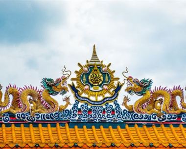 属龙的今年多大