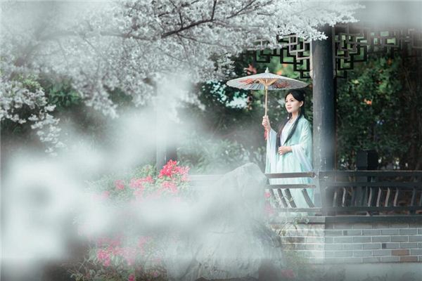 属羊2019年运势及运程