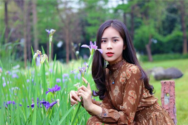 六月的鼠命运如何