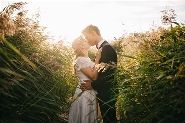 属蛇属相婚配表