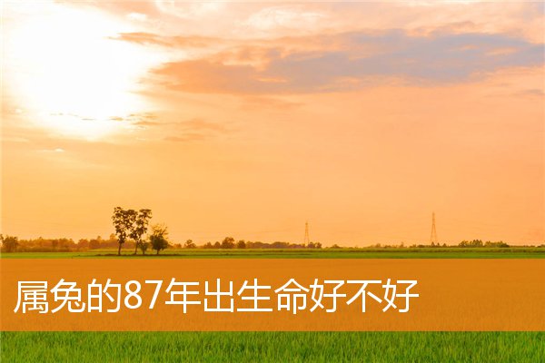 属兔的87年出生命好不好