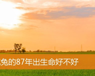 属兔的87年出生命好不好
