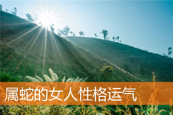 属蛇的女人性格运气
