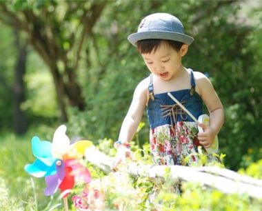 在不同季节出生的属猪的性格