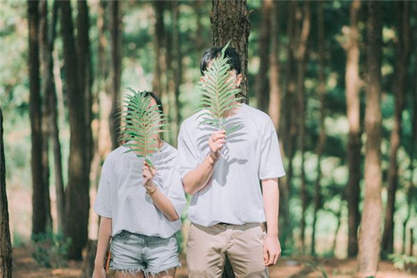 属羊人的正缘在哪一年
