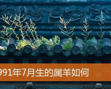 1991年7月生的属羊如何