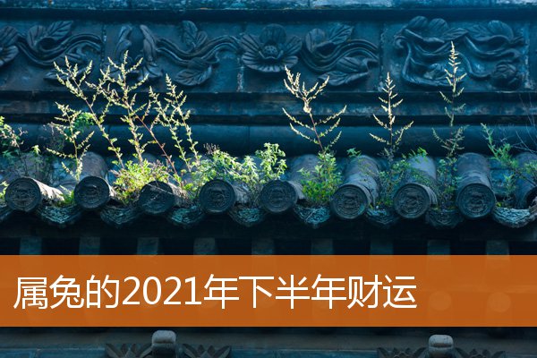 属兔的2021年下半年财运