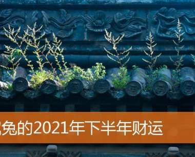 属兔的2021年下半年财运