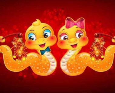 属蛇的男人有哪些属相可以婚配