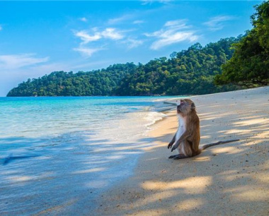 1992属猴能要个2024龙宝宝，1992年属猴人2024年可以生宝宝吗