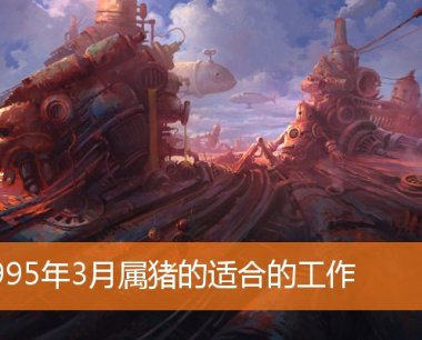 1995年3月属猪的适合的工作
