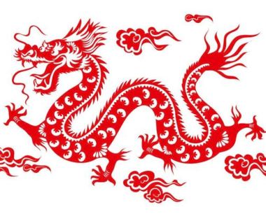 属龙的年份解析