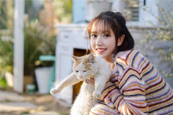 87年兔三年大运