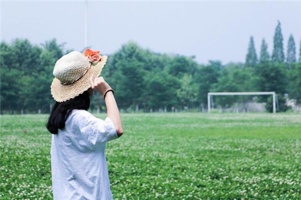 属羊人今后十年大运