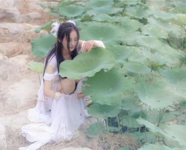 4月出生生肖鼠特点