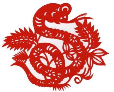 属蛇的男人性格