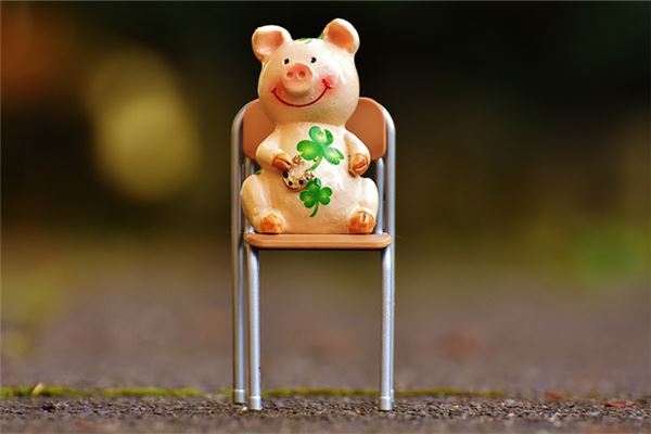 2019年属猪的性格