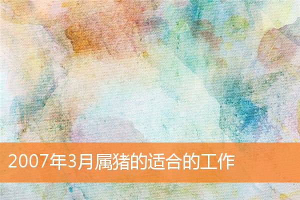 2007年3月属猪的适合的工作