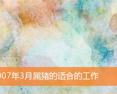 2007年3月属猪的适合的工作