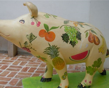 属猪男2024年全年运势及运程