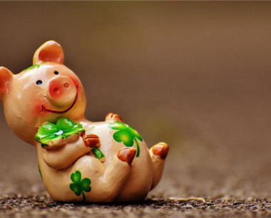 为啥说71年猪过了53是分水岭