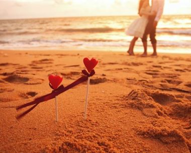 属蛇人2019婚姻与命运