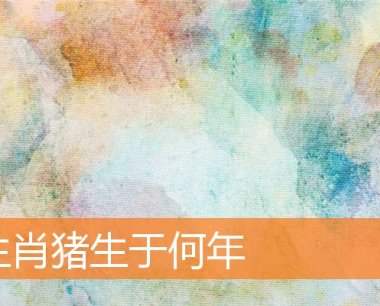 生肖猪生于何年