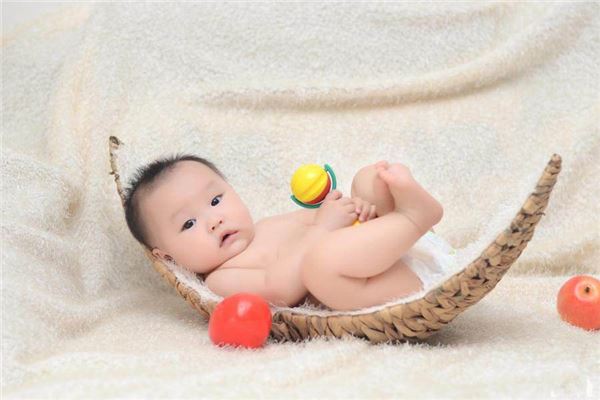 在不同季节出生的属狗的性格