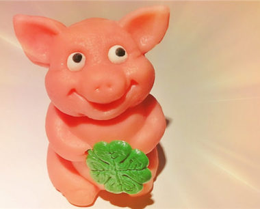 1995是什么生肖年