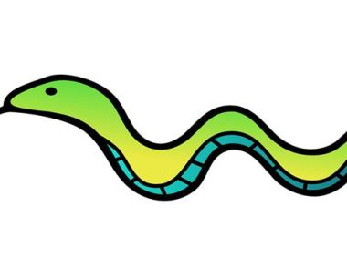 蛇年生人特点
