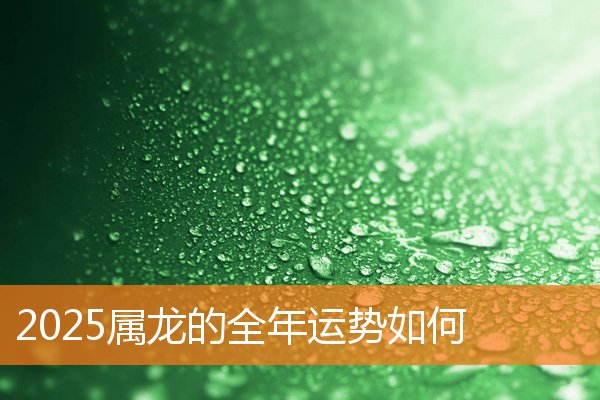 2025属龙的全年运势如何