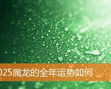 2025属龙的全年运势如何