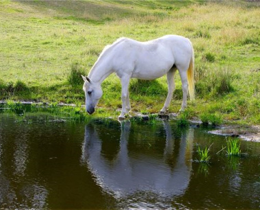 2025属马几月有一难