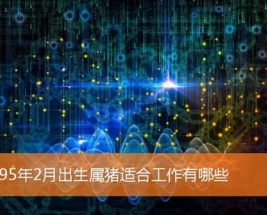 1995年2月出生属猪适合工作有哪些