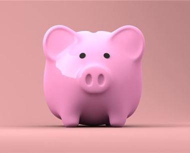 属猪2020年运势及运程每月运程