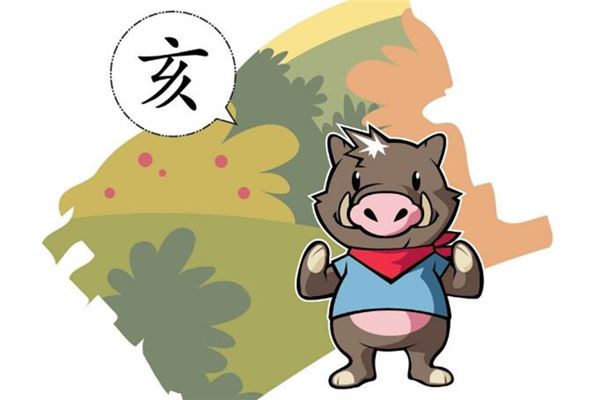 属猪人2019年的运势