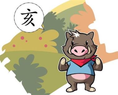 属猪人2019年的运势