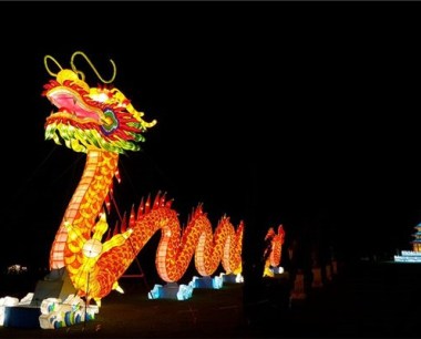属龙的人性格怎么样