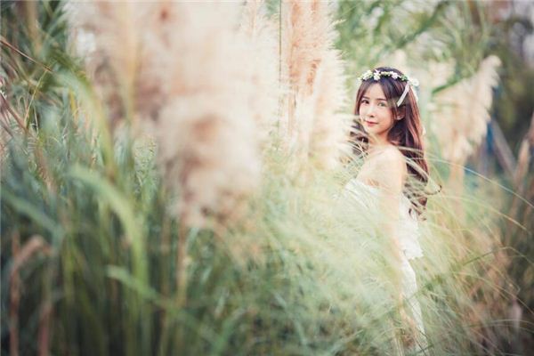 92年属猴的生肖婚配表