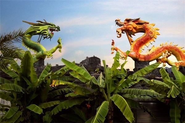 属龙的人今年多大年龄