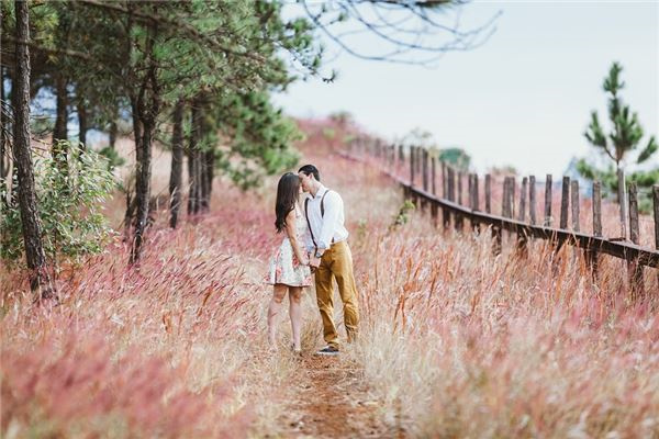 容易被属马女吸引的男人