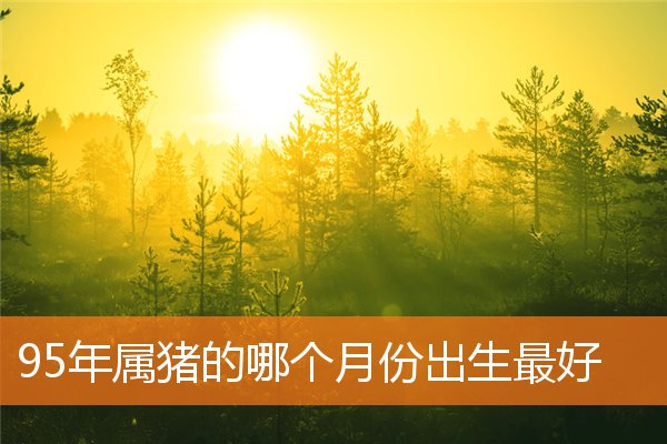 95年属猪的哪个月份出生最好