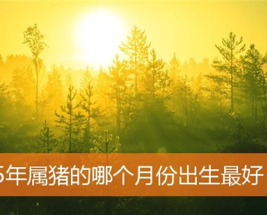 95年属猪的哪个月份出生最好