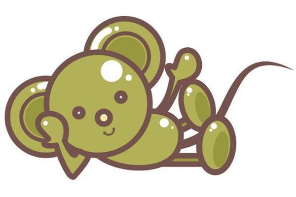 属鼠人2019年运势怎么样