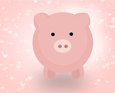 属猪人2025运势完整版