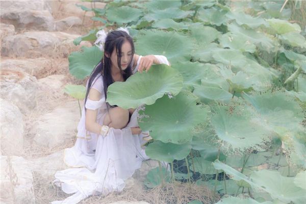 82年属狗女下半年运势