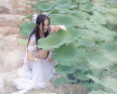 82年属狗女下半年运势