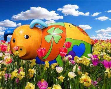 属猪95年在2023运势如何