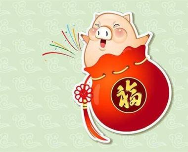 属猪的人婚配表