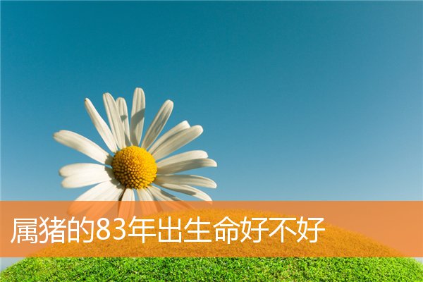属猪的83年出生命好不好